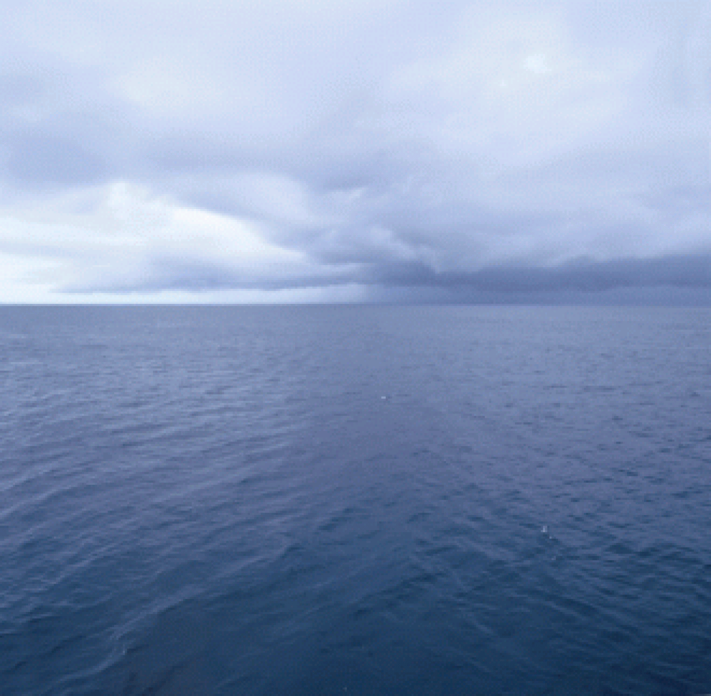 Photo of the Northsea