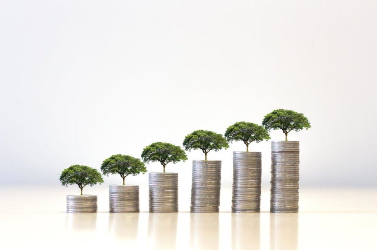 Photo of six stacks of coins on which green trees grow