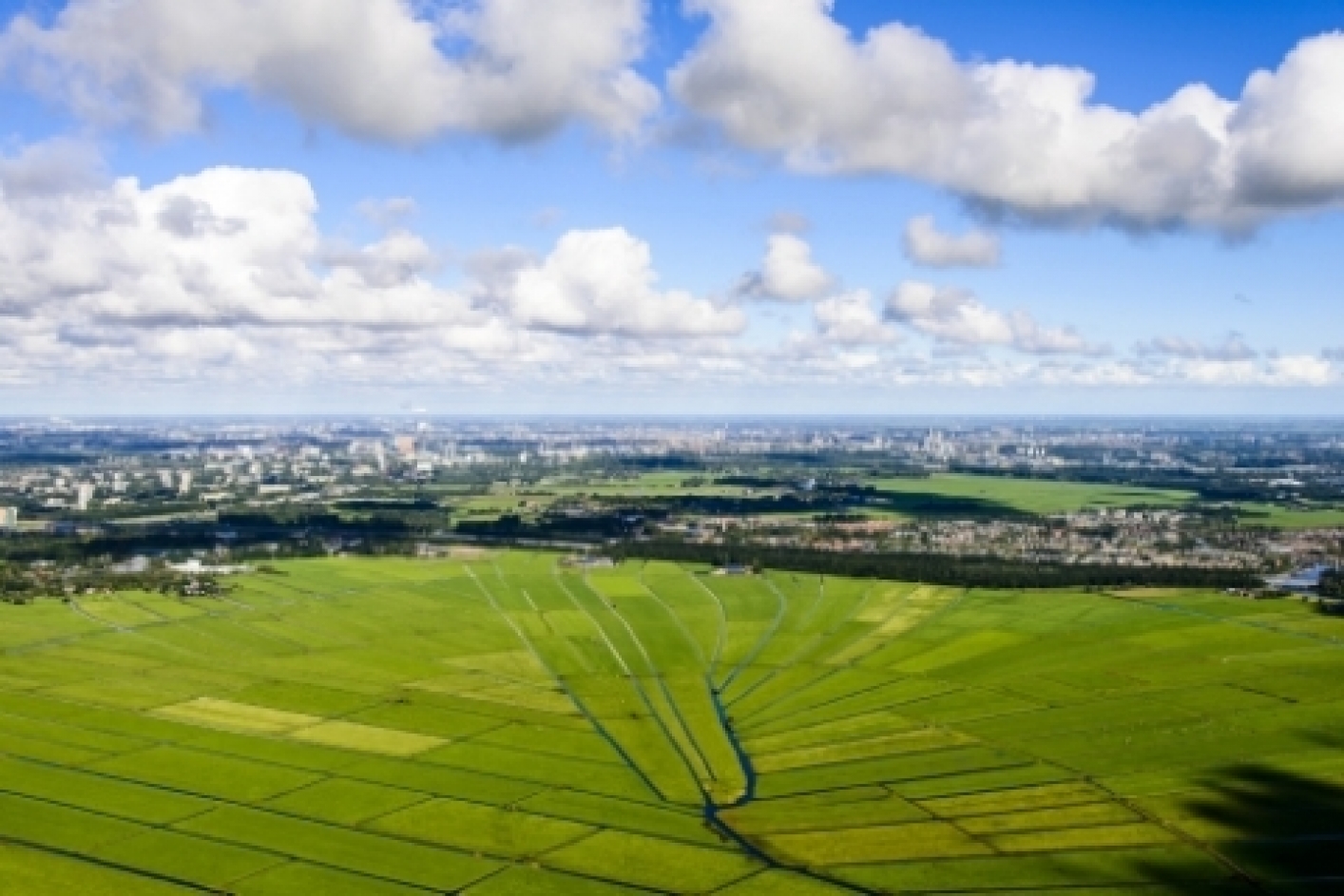 Foto of the landscape of a Dutch polder