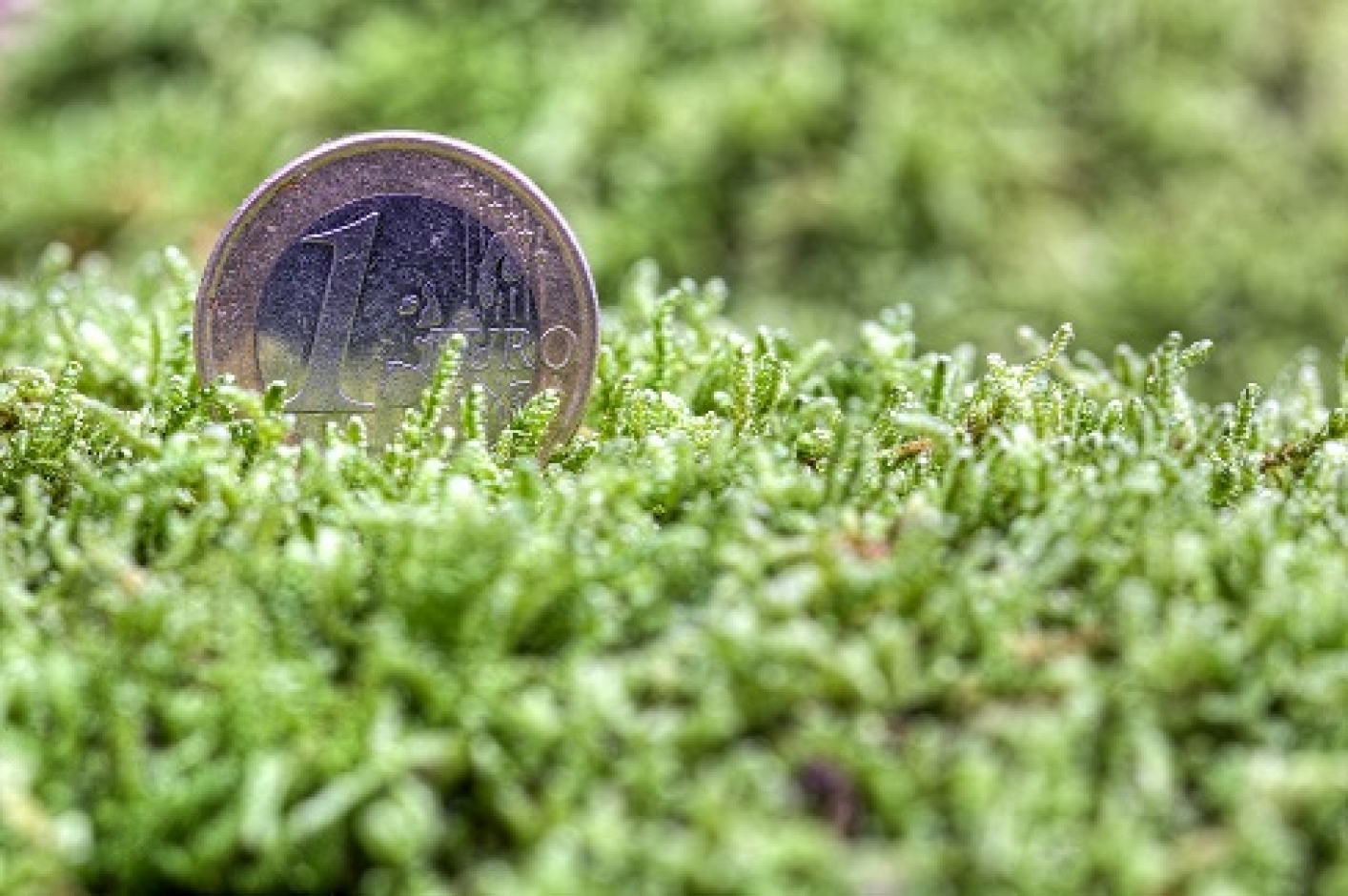 illustration of a one euro rolling through the grass